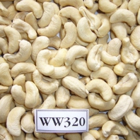  Cashews with white kernels W240 W320