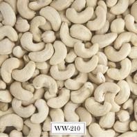 Cashews with white kernels W210