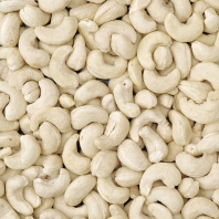 Cashews with white kernels DW