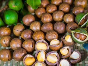 macadamia nuts